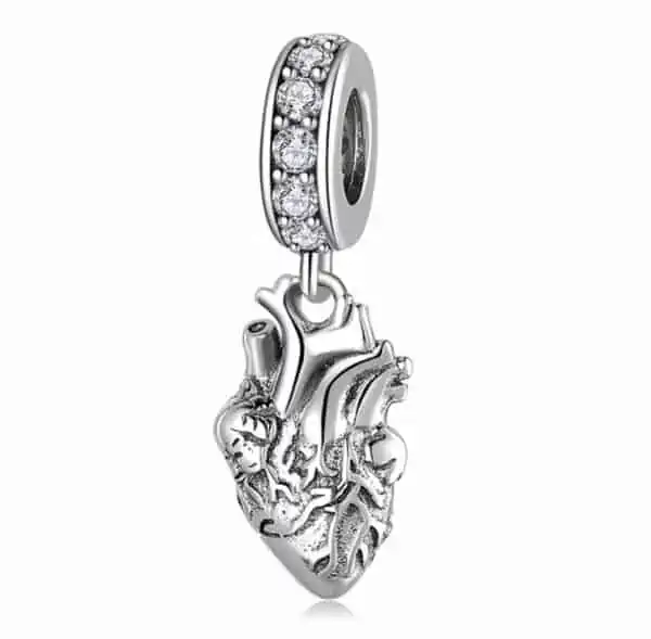 Product Afbeelding Vooraanzicht van onze nieuwe zorg bedel. Deze prachtige antonomie hart charm is een super cadeau voor een verpleegster of cardioloog. Het hart is gemaakt van 925 sterling zilver met gedailleerd aders en spieren. De charm van het heart is ingelegd met zirkonia.