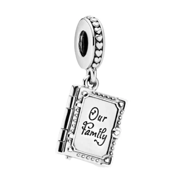 Product Afbeelding Vooraanzicht van onze prachtige family book charm. Deze bedel is gemaakt van 925 sterling zilver en kan worden open gemaakt. Hij is gegraveerd met Our Family. Onze familie charm heeft rondom zirkonia steentjes.