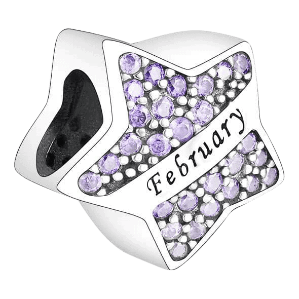 Voor en Achteraanzicht van onze geboortemaand bedel. Deze prachtige bedel heeft paarse zirkonia's, deze kleur is de geboortekleur in de chinese horoscoop. Deze bead is uiteraard gemaakt van 925 sterling zilver. De gravure Februari of February is gemaakt van zwarte emaille. Een super mooie geboorte maand bedel.