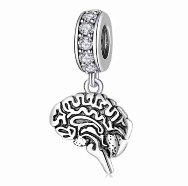 Voorkant product aanzicht bedel hersenen. Mooie anatomie bedel van onze brains. Hangend aan een charm met zirkonia en gemaakt van 925 sterling zilver