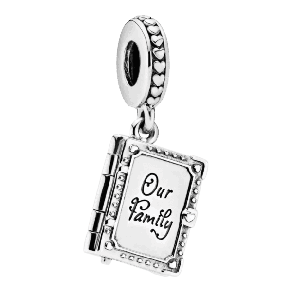 Product Afbeelding Vooraanzicht van onze prachtige bedel uit de familie collectie. Dit Our family boek is gemaakt van 925 sterling zilver. Het boek van deze charm kan open en heeft meerdere bladzijdes.