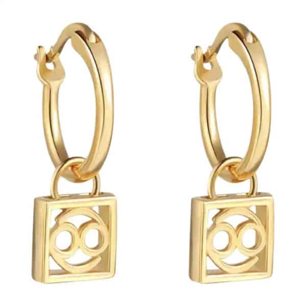 Product Afbeelding Vooraanzicht van onze nieuwe oorbellen uit de horoscoop collectie. Deze prachtige oorringen met het horoscoopteken kreeft zijn een echte eyecatcher aan je oren. Deze oorbelletjes zijn gemaakt van 925 sterling zilver met een laagje 18 karaat goud.