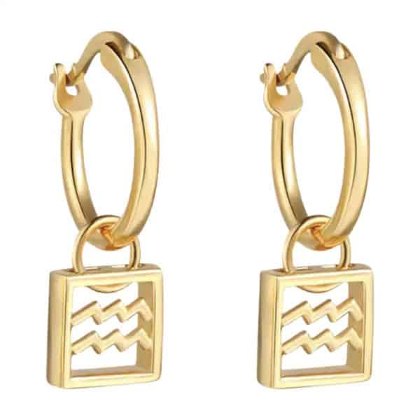 Product Afbeelding Vooraanzicht van onze nieuwe oorbellen uit de horoscoop collectie. Deze prachtige oorringen met het horoscoopteken waterman zijn een echte eyecatcher aan je oren. Deze oorbelletjes zijn gemaakt van 925 sterling zilver met een laagje 18 karaat goud.