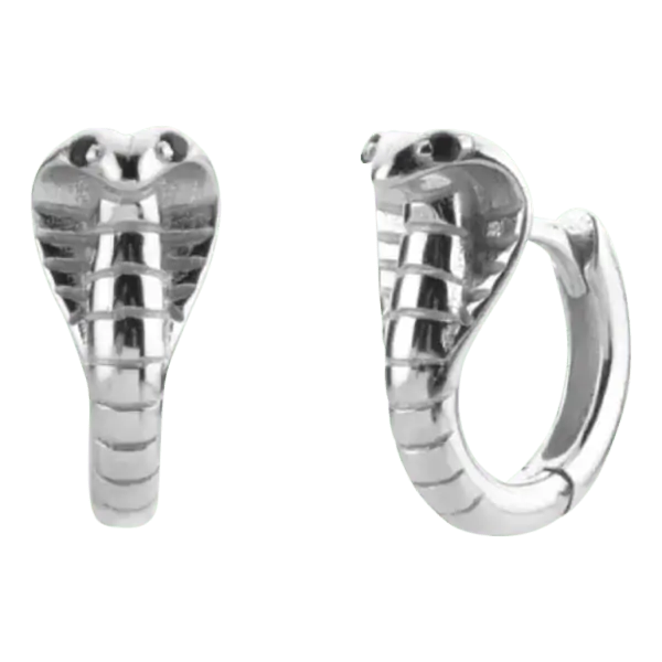 Product afbeelding vooraanzicht van onze prachtige cobra oorbellen. Deze oorringen zijn een echte eyecatcher aan je oor. Of zoals ze het ook wel zeggen earparty. De cobra oorringen zijn gemaakt van 925 sterling zilver. En hebben zirkonia steentjes als ogen.